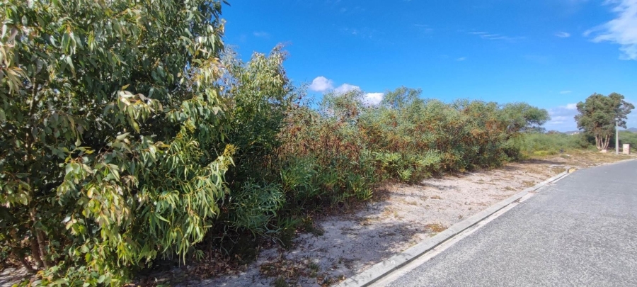 0 Bedroom Property for Sale in Franskraal Western Cape